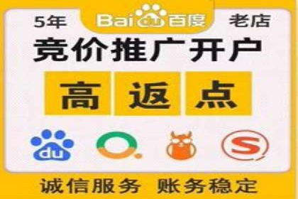 XX领域竞价广告的投放策略及效果展示